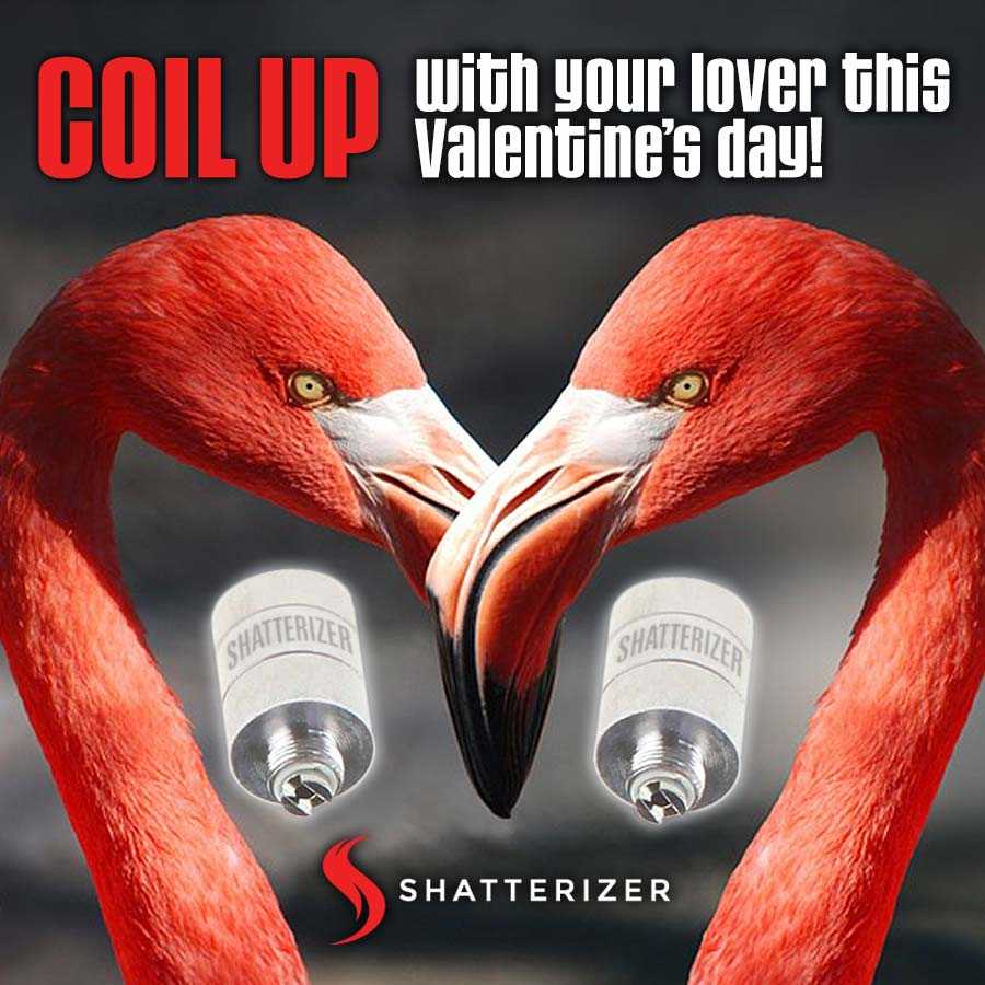 Coil Up with Your #Shatterizing Love!