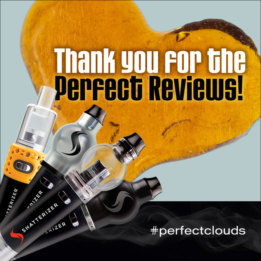 Thank You for the Customer Service Reviews!